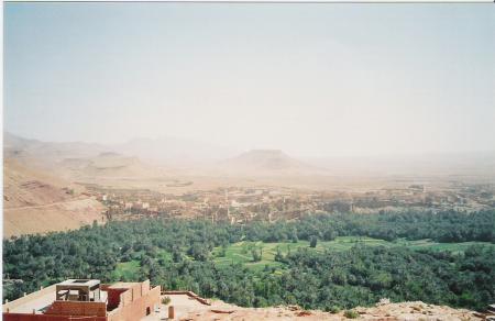Oasis de Tineghir (Photo Lili et Abdou)