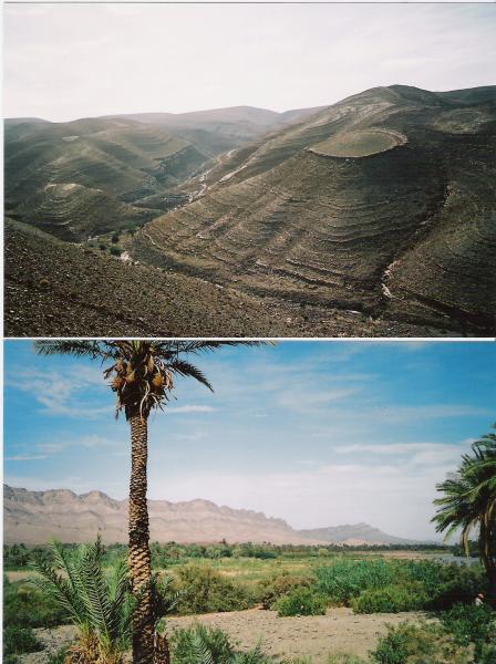 La vall�e du Draa (Photo Lili et Abdou)