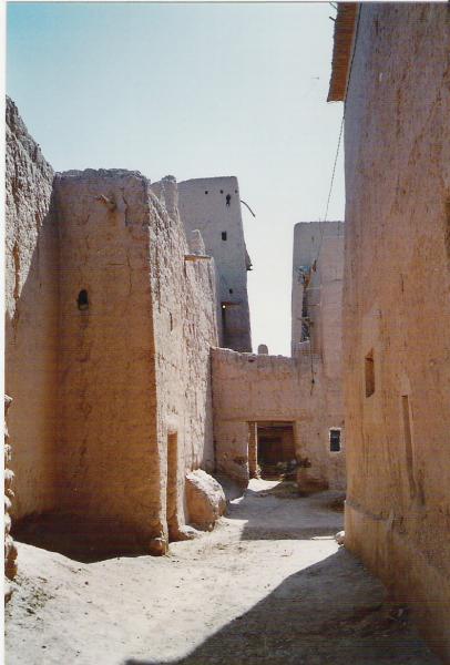 Pameraie de la Skoura (Photo Lili et Abdou)