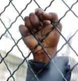 Immigrer en tes bras