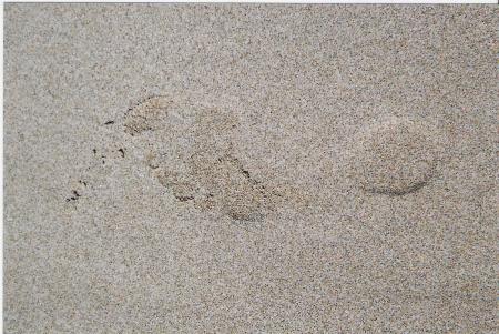 Pied (Photo Lili et Abdou)