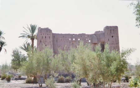 La Palmeraie de La Skoura (Photo Lili et Abdou)